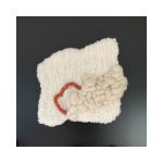 TAPIS MURAL TUFTÉ MERINOS